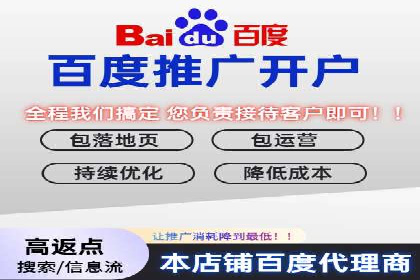 百度竞价广告投放策略：案例分析及优化建议